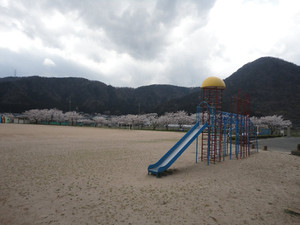 Dsc07137